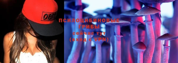 метадон Гусев