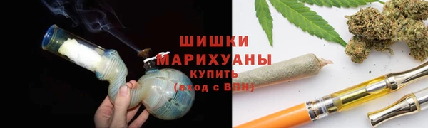 метадон Гусев