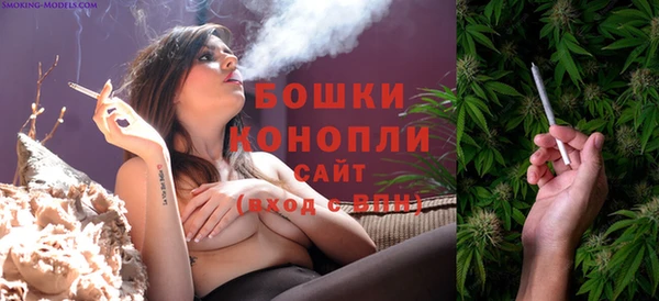 метадон Гусев