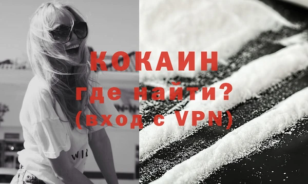 метадон Гусев