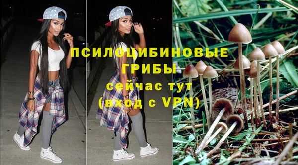метадон Гусев